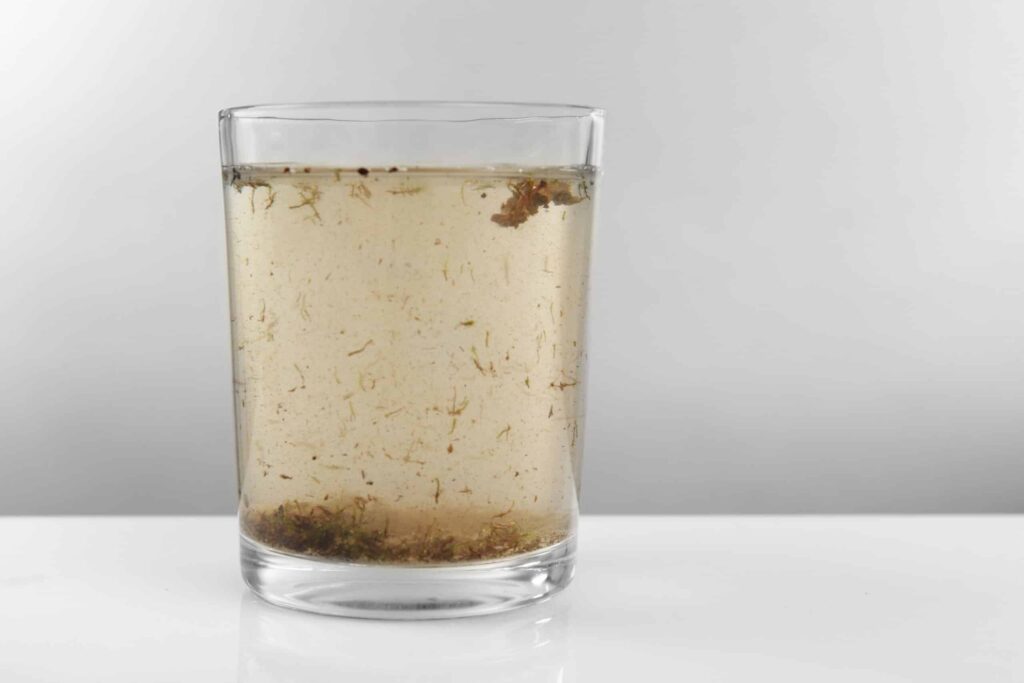 cup of contaminated water